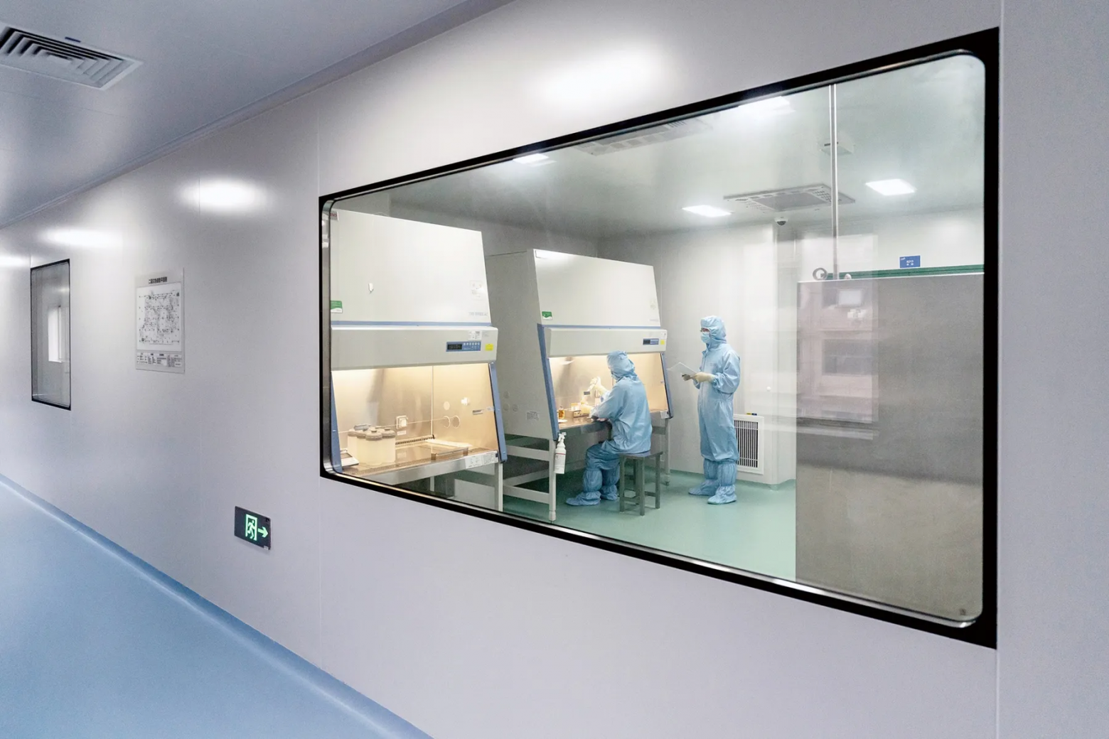 Производственная лаборатория по выпуску CAR-T-клеточной терапии в Нанкине, Китай, 9 июня. Фотограф: Цилай Шэнь/Bloomberg Производственная лаборатория по выпуску CAR-T-клеточной терапии в Нанкине, Китай, 9 июня. Фотограф: Цилай Шэнь/Bloomberg