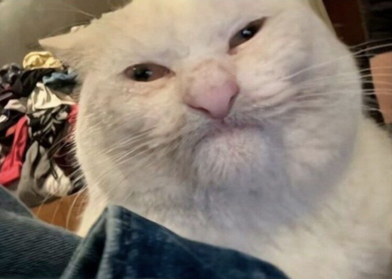 Когда просто хотел узнать, кто идет на встречу, а попал в путешествие по 5 приложениям Когда просто хотел узнать, кто идет на встречу, а попал в путешествие по 5 приложениям