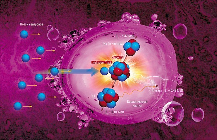 Механизм БНЗТ. Источник Механизм БНЗТ. Источник