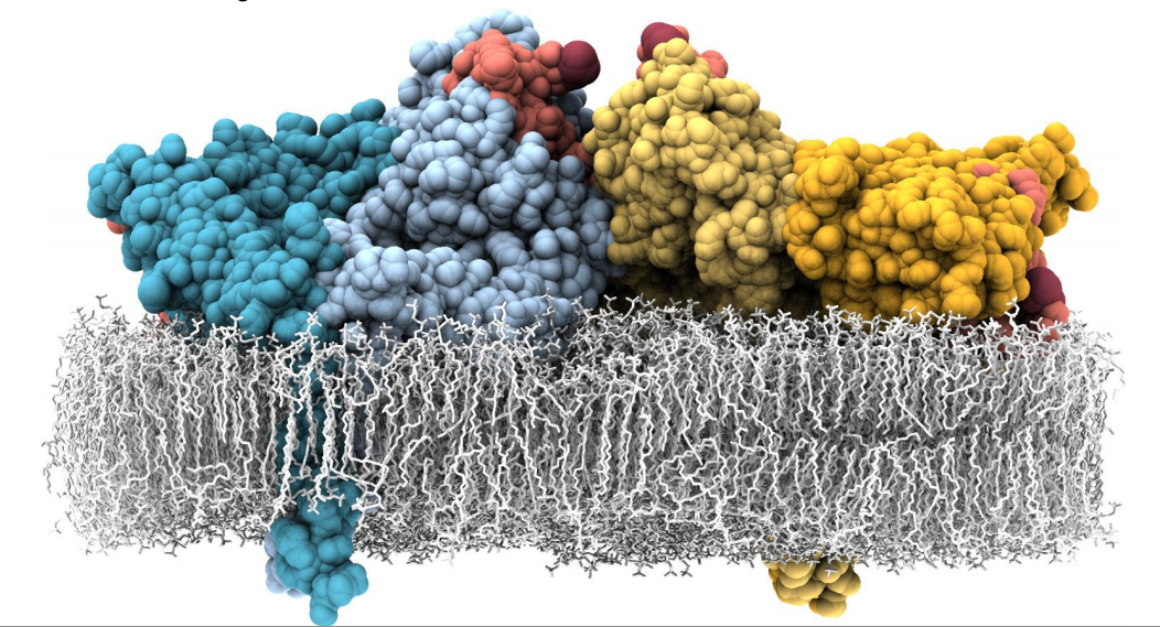 Как машинное обучение приручает хаос биологических данных - 1