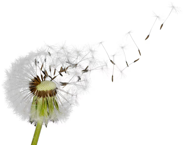 Выгорание одно. Причины разные - 1 Выгорание одно. Причины разные - 1