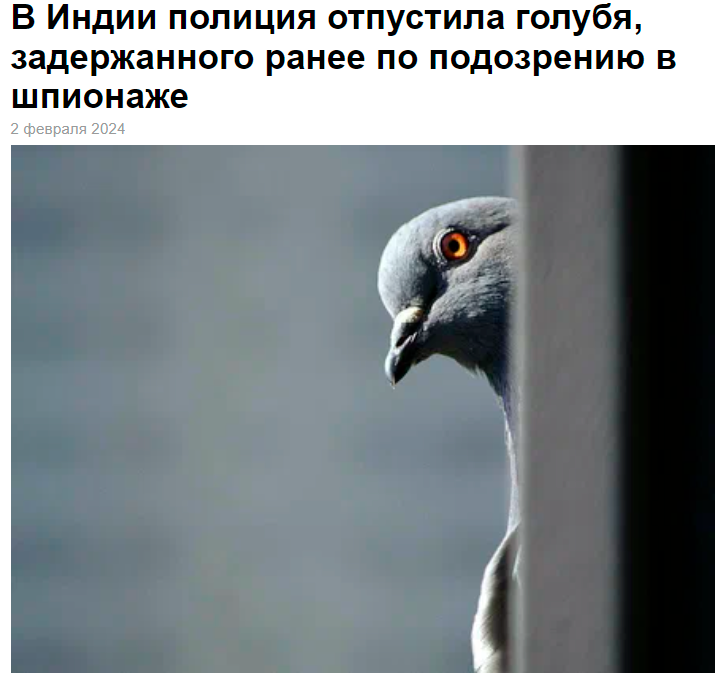 Почему конкуренты знают о вас всё, или Как Амивео написали сценарий фильма о конкурентной разведке - 7