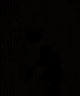 Когда дискриминируют по цвету шерсти