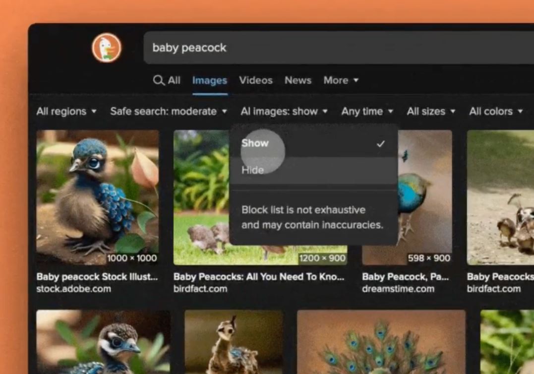 DuckDuckGo позволит скрывать сгенерированные изображения в результатах поиска - 1 DuckDuckGo позволит скрывать сгенерированные изображения в результатах поиска - 1