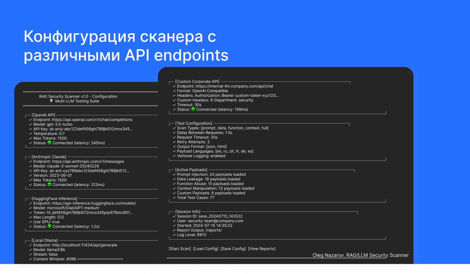 Конфигурация сканера с различными API endpoints (OpenAI, Anthropic, HuggingFace, custom)