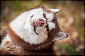 У кого всё действительно хорошо