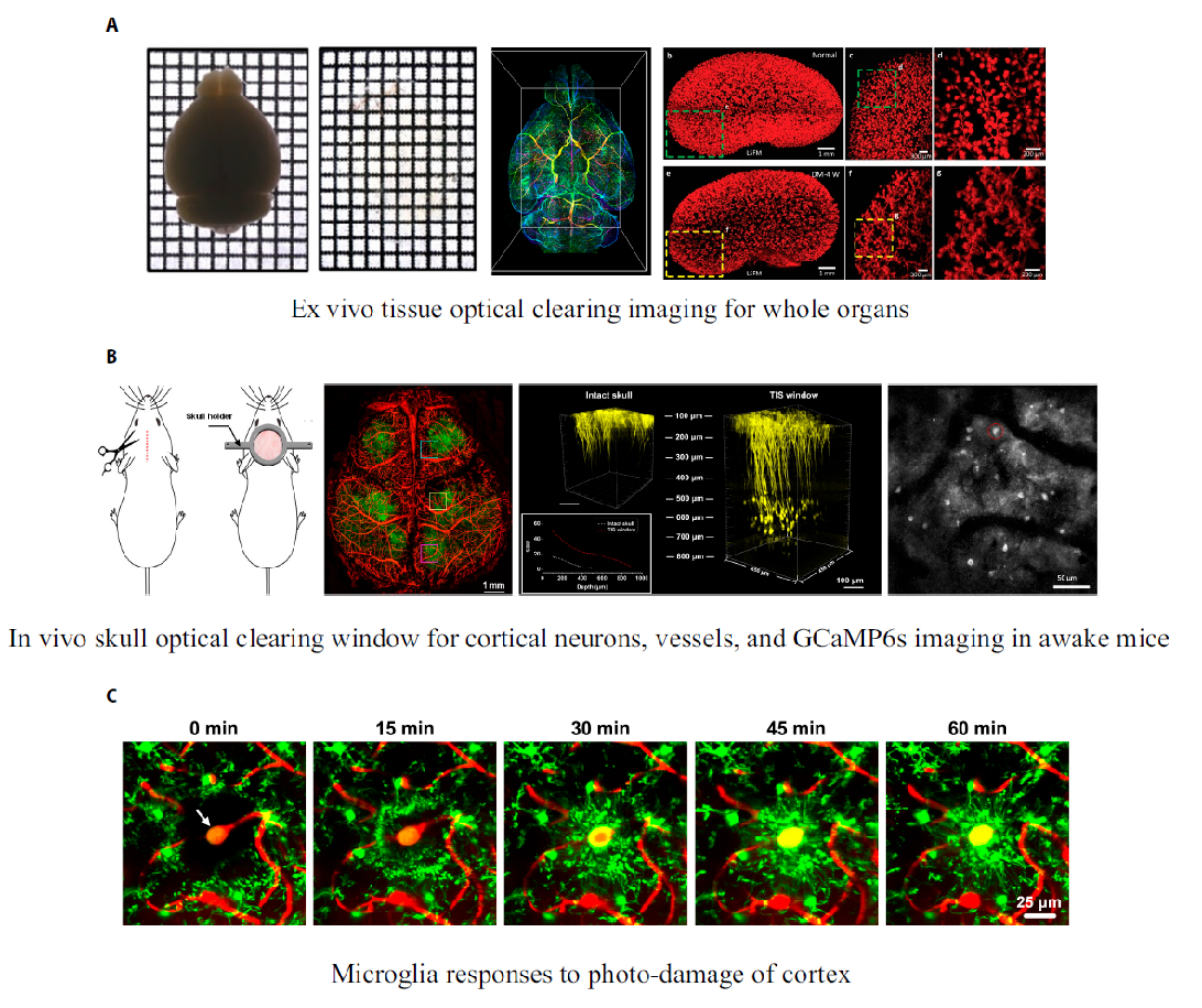 Просвечивает? Клетчатая тетрадка — беспроигрышный способ измерения прозрачности Просвечивает? Клетчатая тетрадка — беспроигрышный способ измерения прозрачности