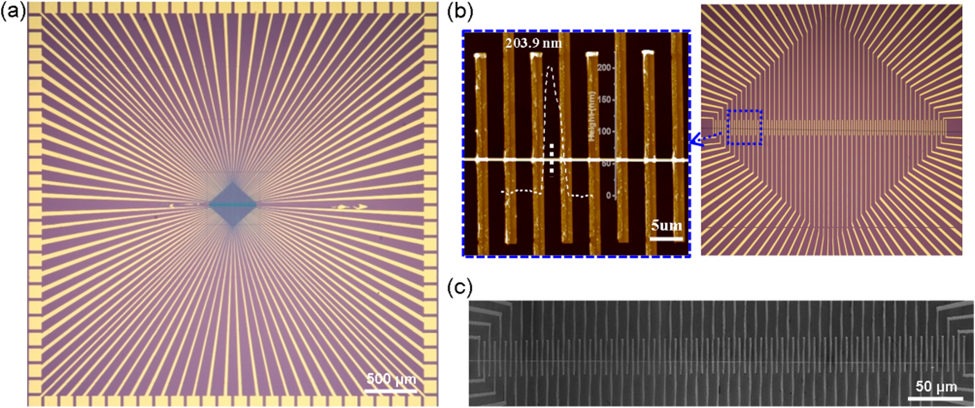 Массив из 100 золотых контактов на одном нанопроводе Ta₂Ni₃Se₈: оптические, AFM- и SEM-снимки подтверждают равномерную толщину (~204 нм) и стабильность по всей длине. Источник