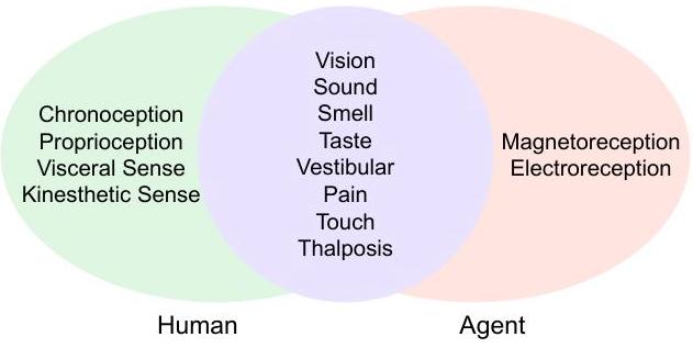 Сравнение сенсорных возможностей между людьми и агентами