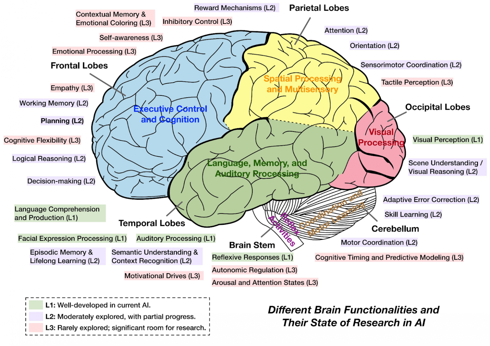 Представим мозг человека как карту, где уровень развития AI — степень освоения разных областей: L1 — хорошо, L2 — умеренно, L3 — слабо. Источник