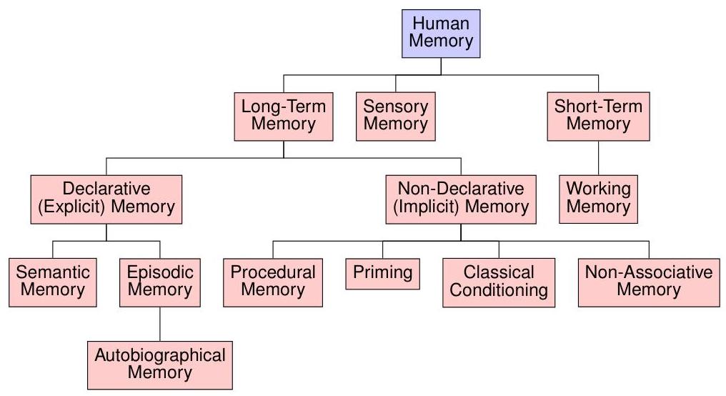Иерархия классификации человеческой памяти