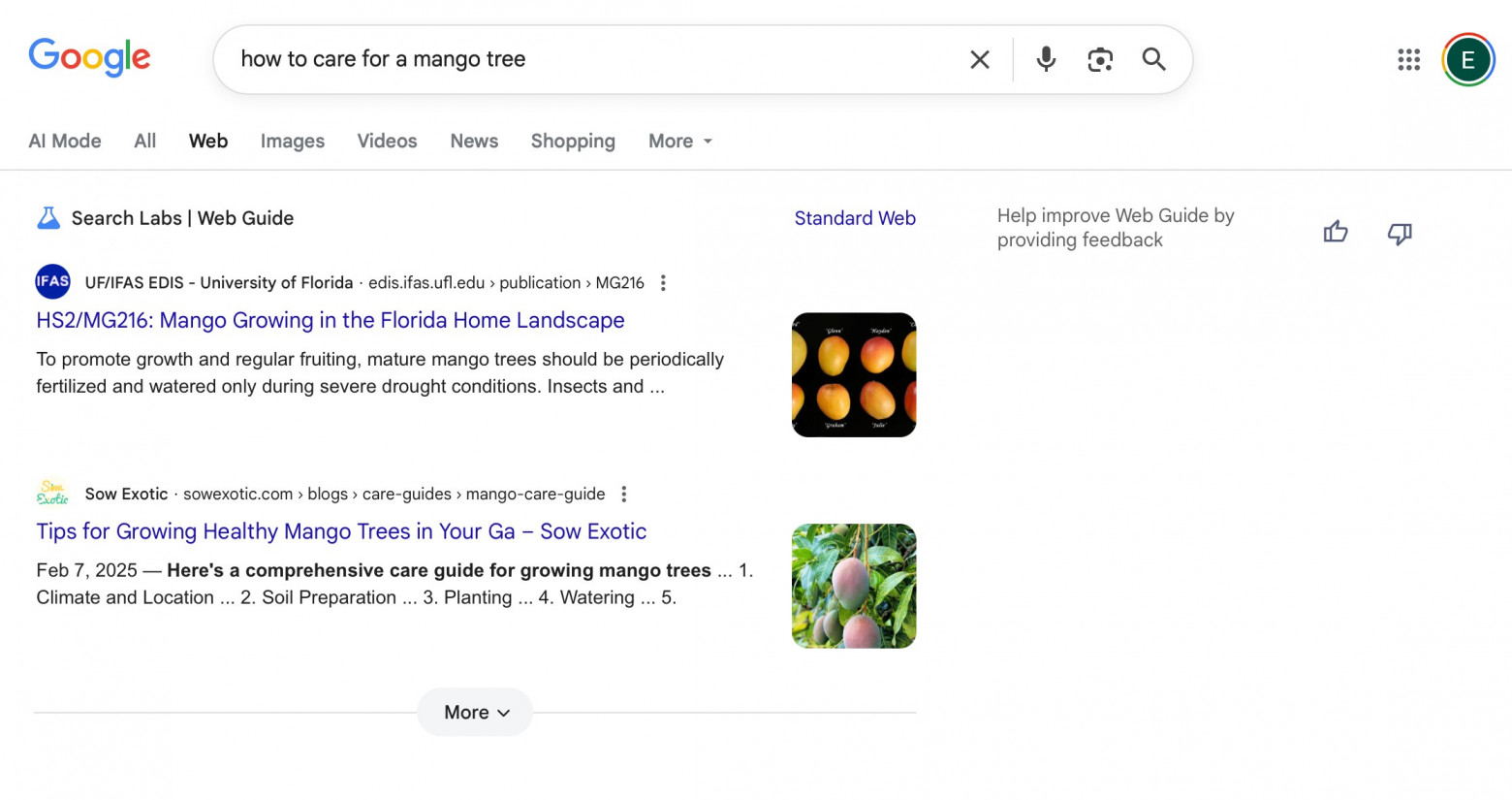 Google представила Web Guide — инструмент для структуризации поисковой выдачи - 1