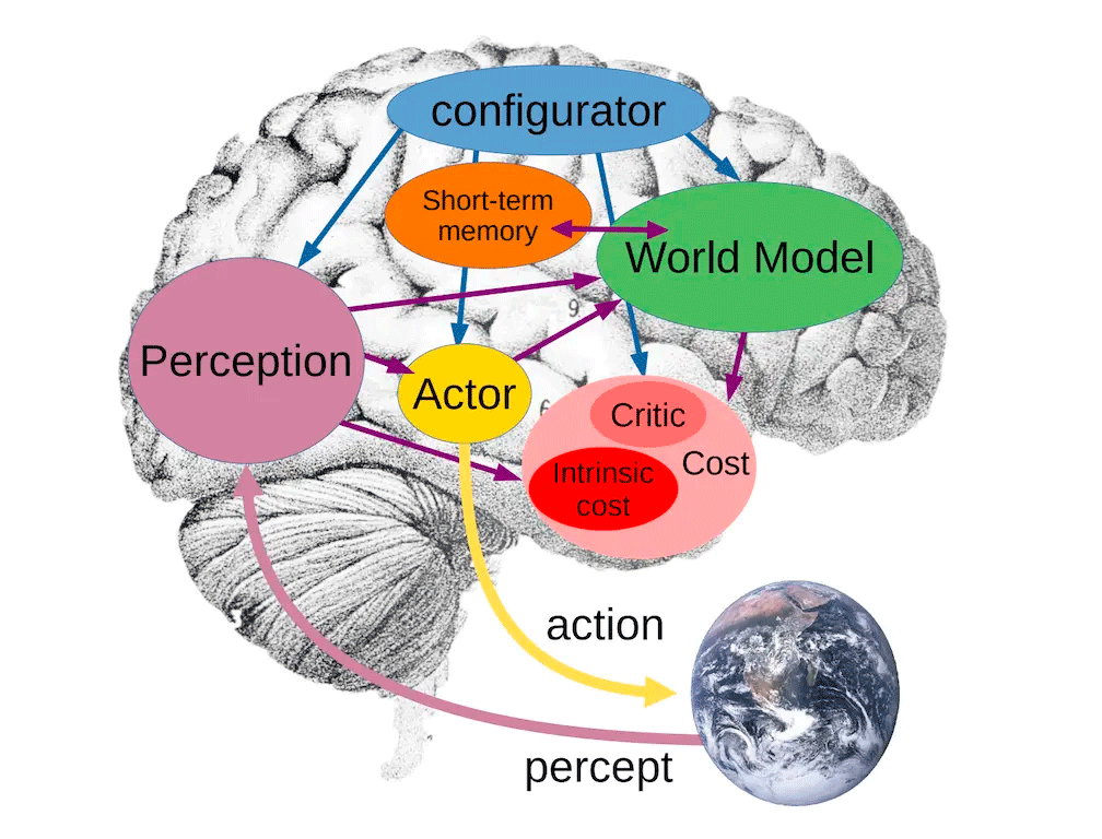Архитектура автономных интеллектуальных агентов, из статьи Лекуна 2022 года