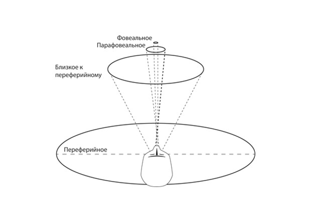 Нейродизайн: как мозг воспринимает интерфейсы и почему пользователи действуют нелогично - 1 Нейродизайн: как мозг воспринимает интерфейсы и почему пользователи действуют нелогично - 1