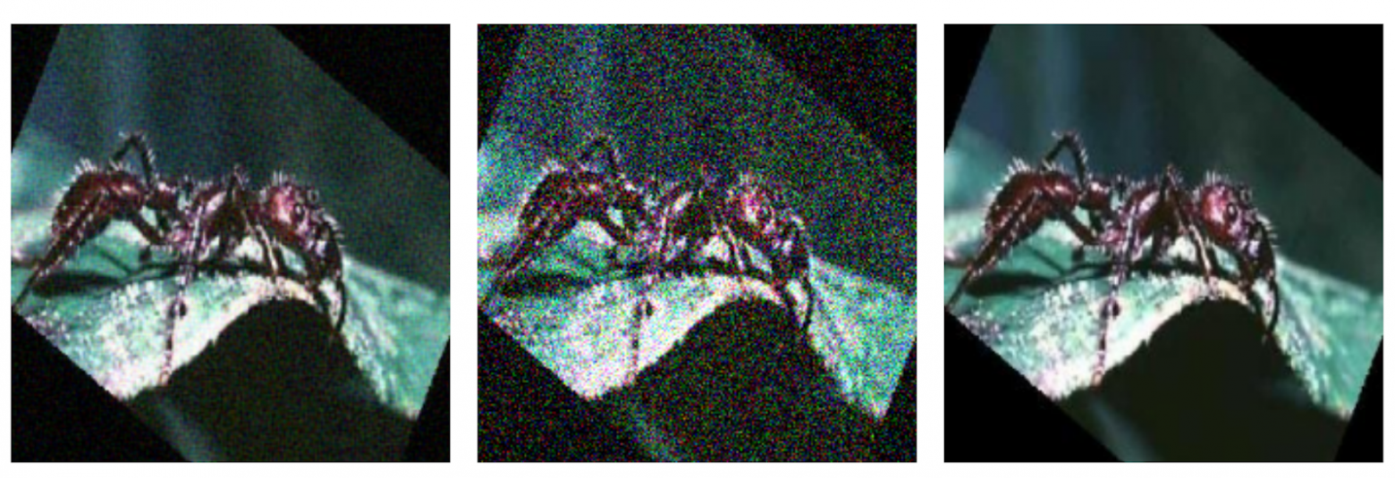 Пример атаки SurFree для класса муравей. Слева: SurFree, по центру: случайный шум, справа: оригинальное изображение.