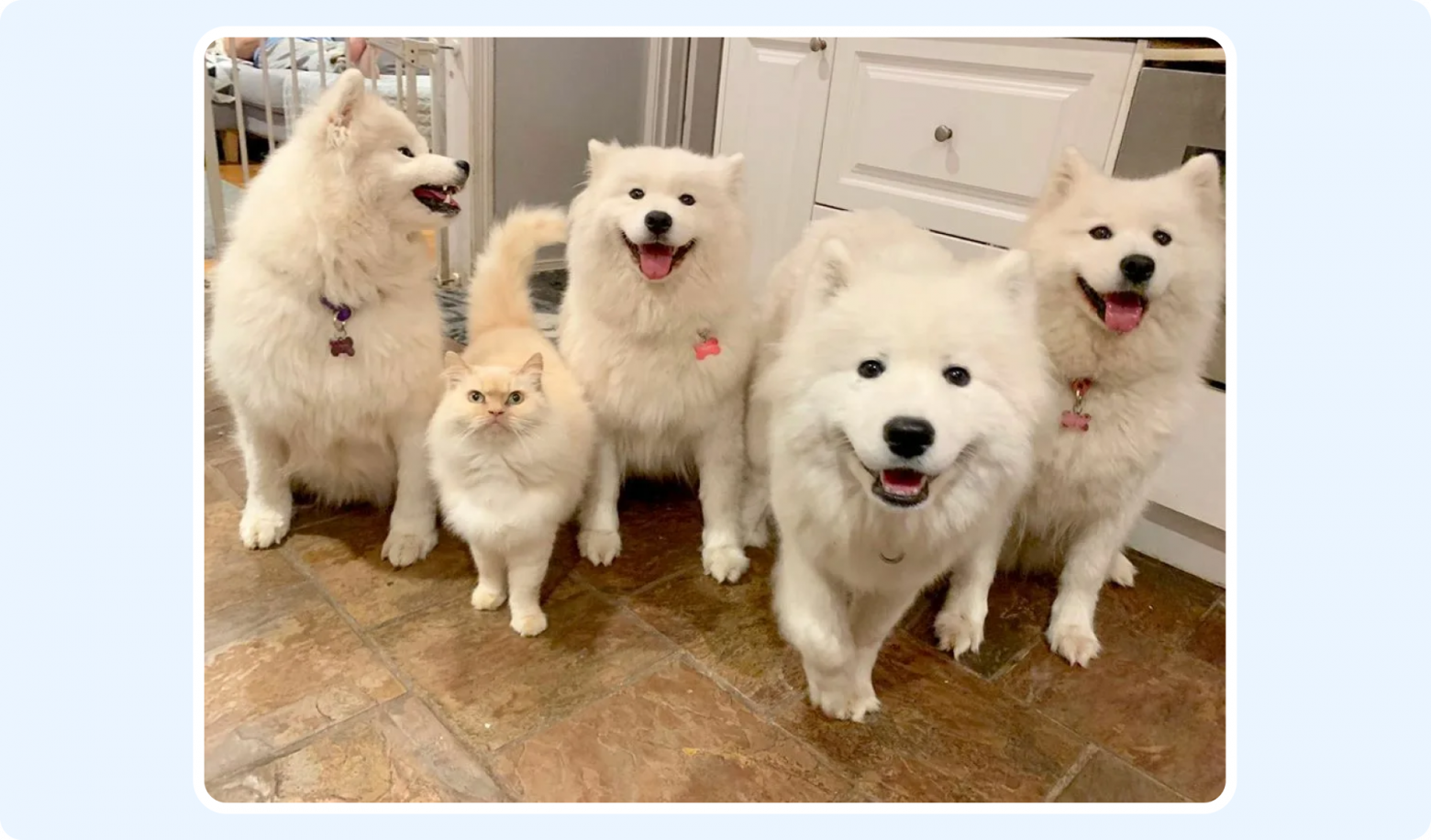 Я тимлид, я так вижу! Когнитивные искажения и где они обитают - 5 Я тимлид, я так вижу! Когнитивные искажения и где они обитают - 5