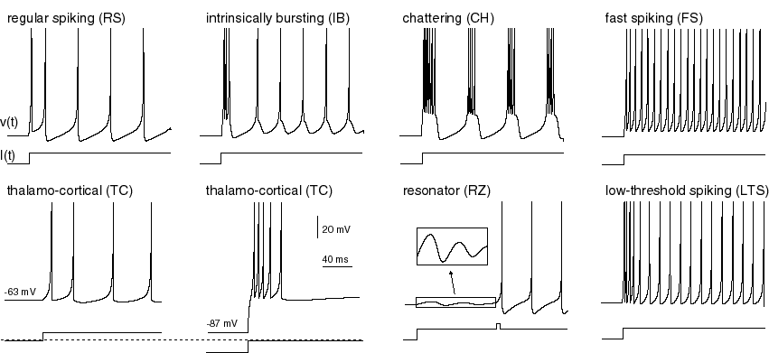 Различные паттерны генерации спайков. Оригинал https://www.izhikevich.org/publications/spikes.htm