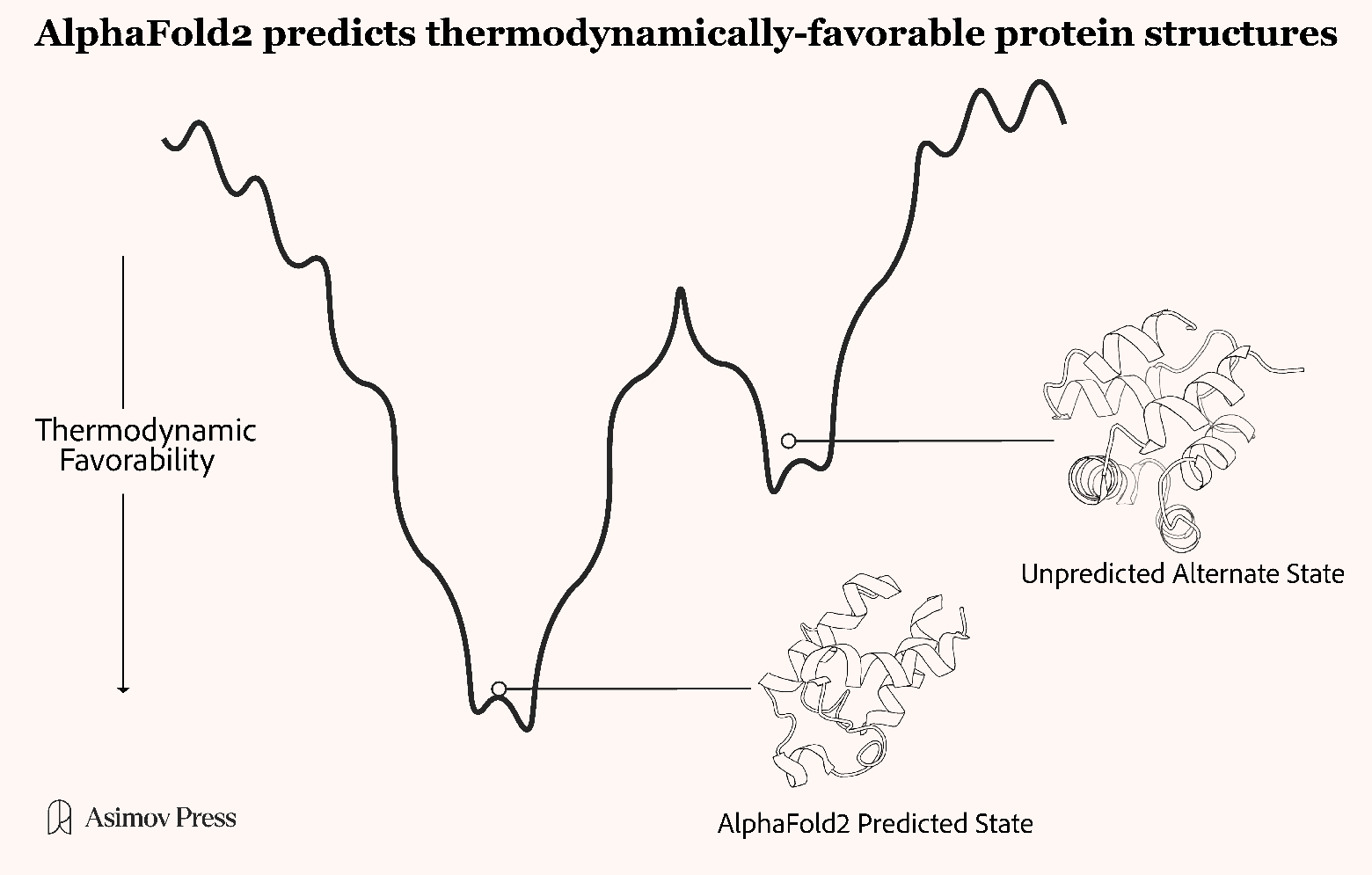  AlphaFold2, как правило, предсказывает наиболее термодинамически благоприятную конформацию для данного белка, а не широкий спектр других форм, между которыми он может перемещаться в клетке.