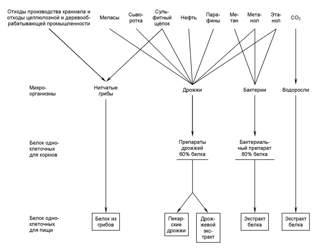 Рис. 1. Субстраты для получения белка одноклеточных для разных классов микроорганизмов      