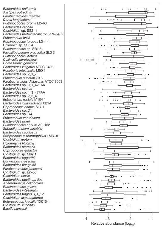Микробный состав человеческого ЖКТ