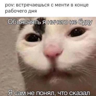 Падаван на прокачку! Мой опыт менторства в MТС: зачем это нужно и какие результаты - 4