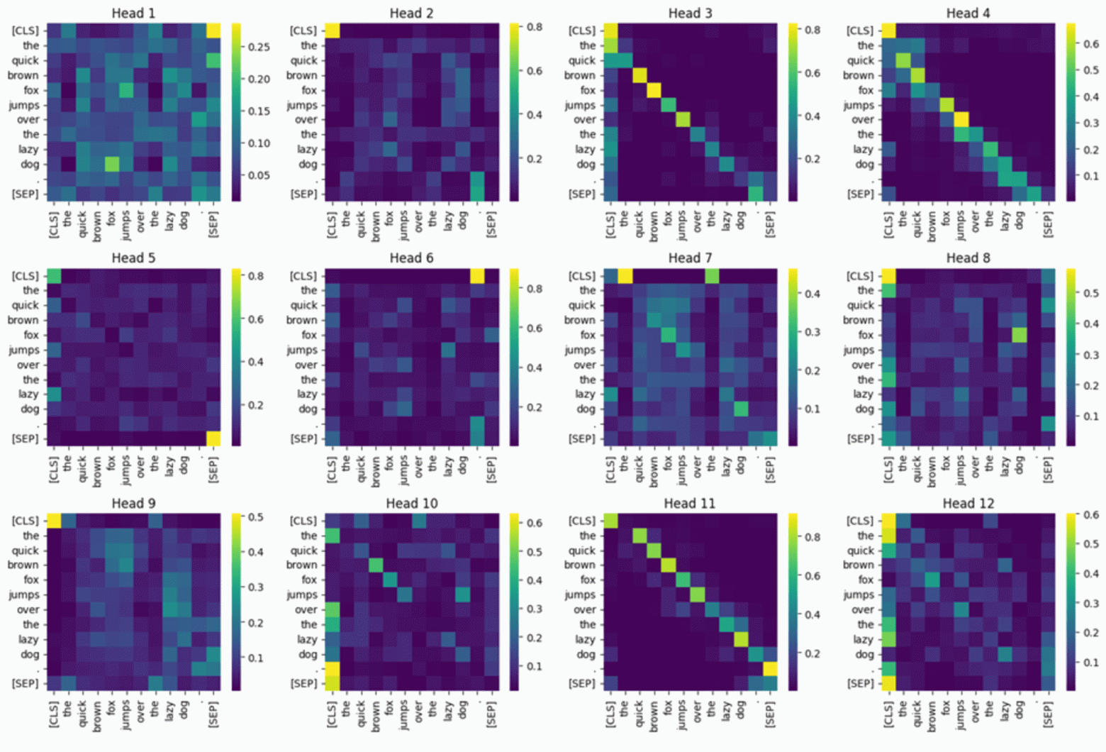 Карты внимания ViT