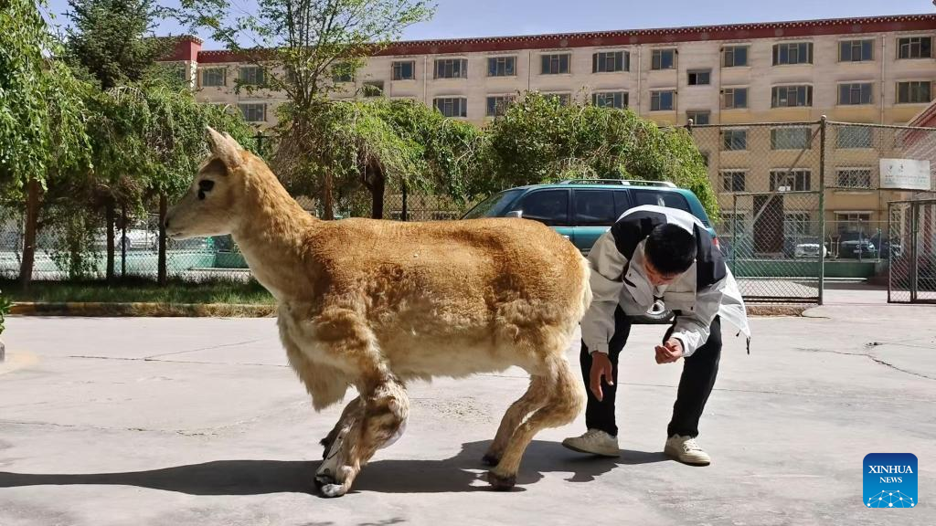 Фото: "Синьхуа"