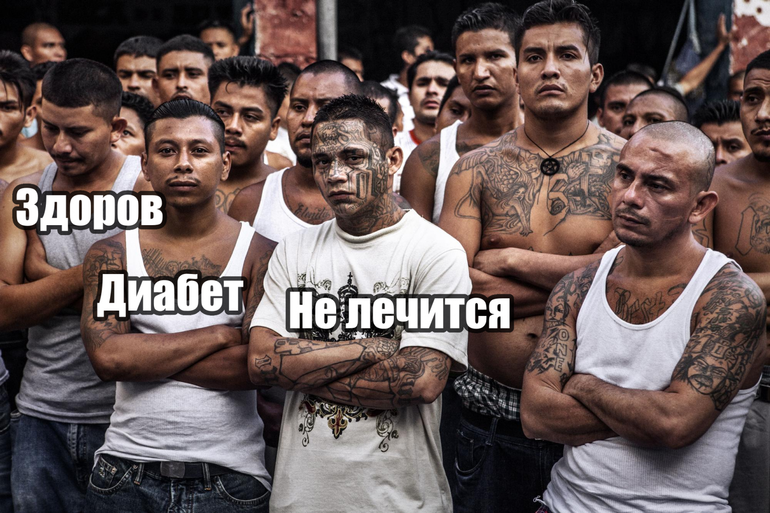 Клуб любителей авокадо  