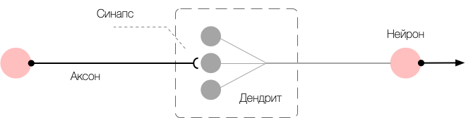 Спайковые нейросети на Swift, часть II: Синапсы - 2