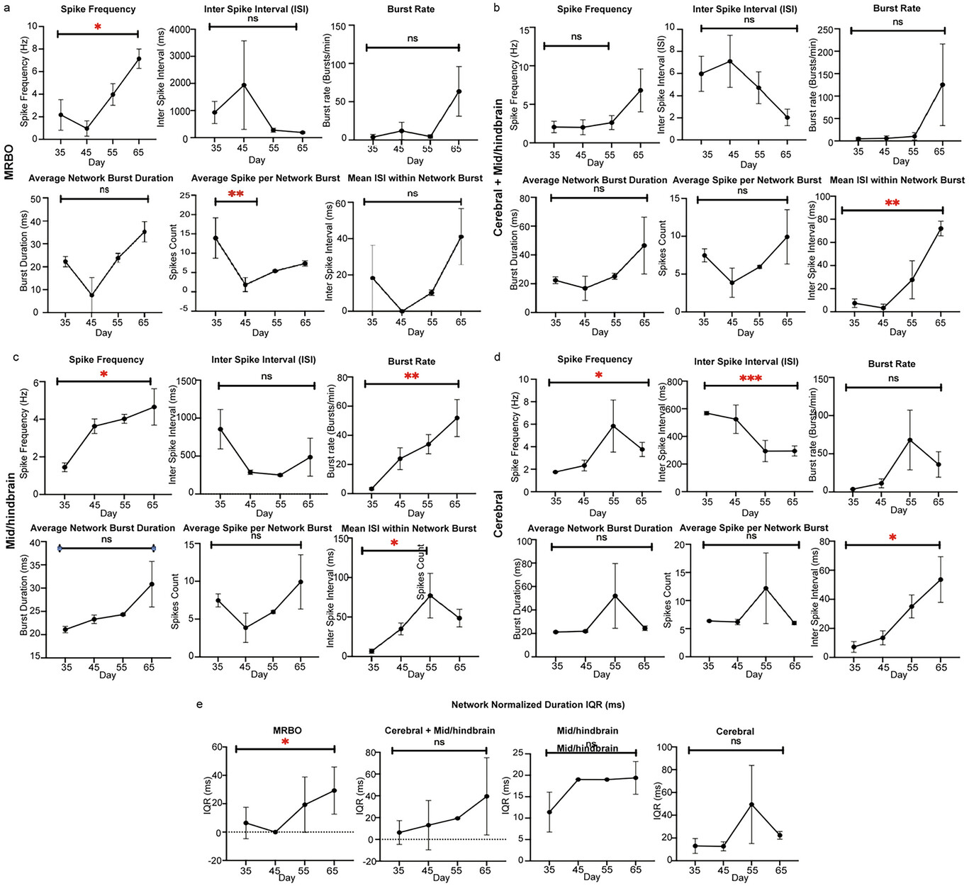 Мини-мозг: мультирегиональный органоид мозга - 5