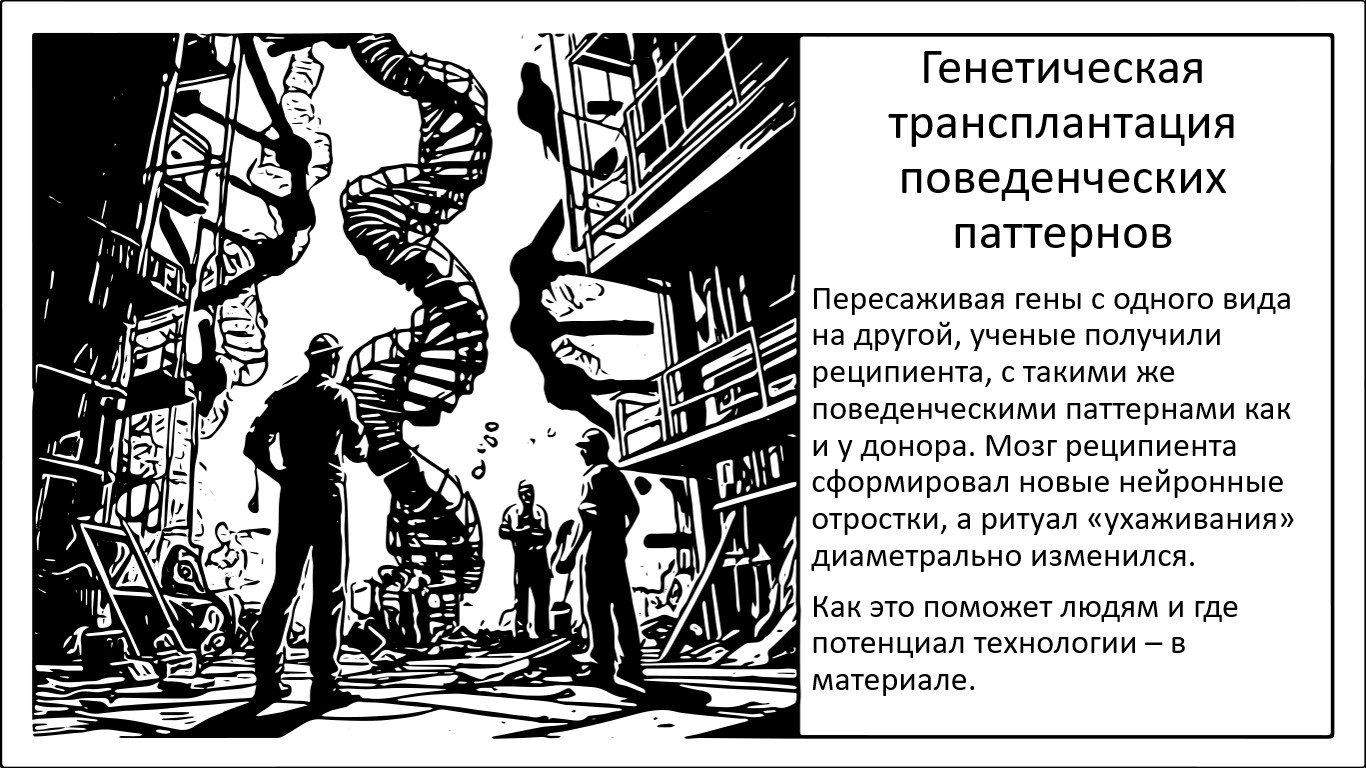 Первая в мире межвидовая трансплантация поведения - 1 Первая в мире межвидовая трансплантация поведения - 1