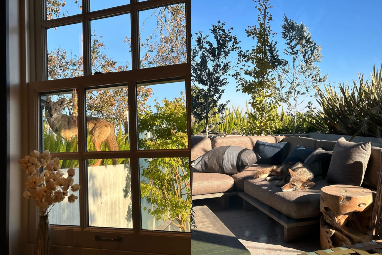 Оливер Малхерин