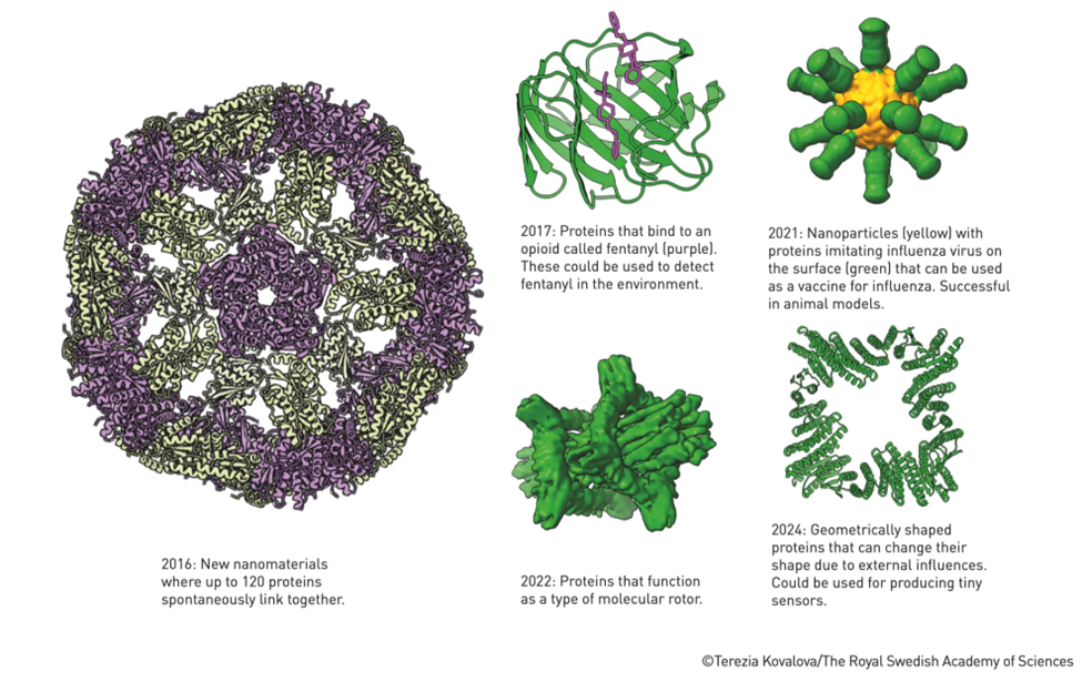 Белки, полученные с помощью Rosetta. Источник: nobelprize.org.   