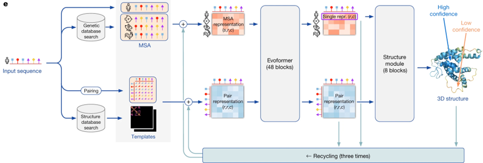 Архитектура AlphaFold2. Источник: John Jumper et al. / Nature.   