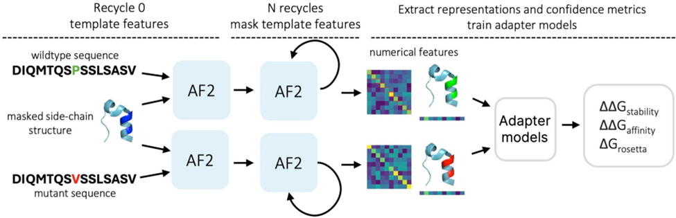 Схема пайплайна предсказаний в нашей работе AFToolkit 