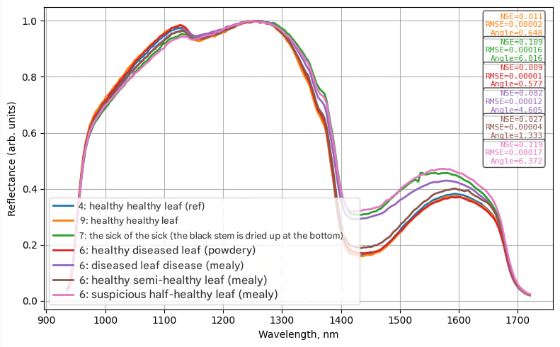 На данном графике хорошо отличим кластер больных и здоровых листов. На длинах волн 1400-1600 нм разница наиболее значительная.