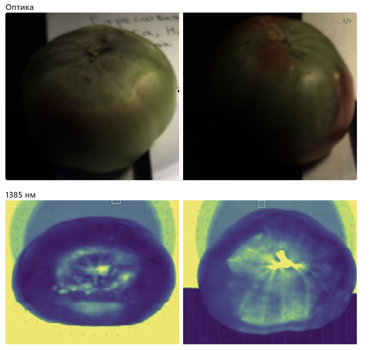 Спектральные изображения на длине волны 1385 нм — на ней видно отличие красной - зеленой частей, а также пораженной от целой области.