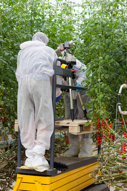 Мониторинг здоровья растений в теплице для ранней детекции заболевания. Мониторинг здоровья растений в теплице для ранней детекции заболевания.
