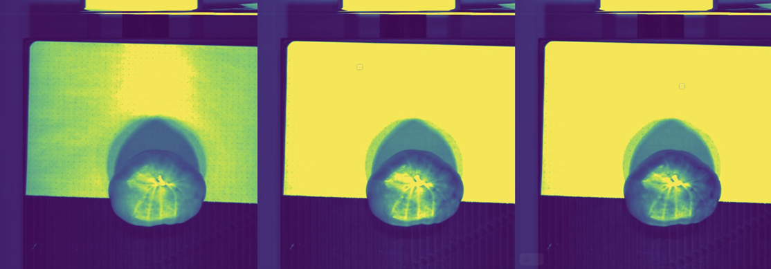 Создание технологий анализа фитопатологий с помощью гиперспектральной съемки - 8 Создание технологий анализа фитопатологий с помощью гиперспектральной съемки - 8