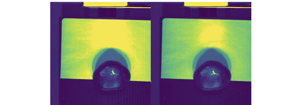 Создание технологий анализа фитопатологий с помощью гиперспектральной съемки - 9 Создание технологий анализа фитопатологий с помощью гиперспектральной съемки - 9