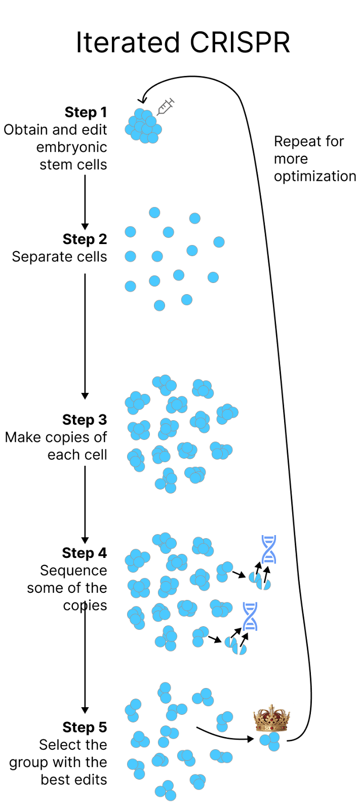 Как создать детей-супергениев? - 12