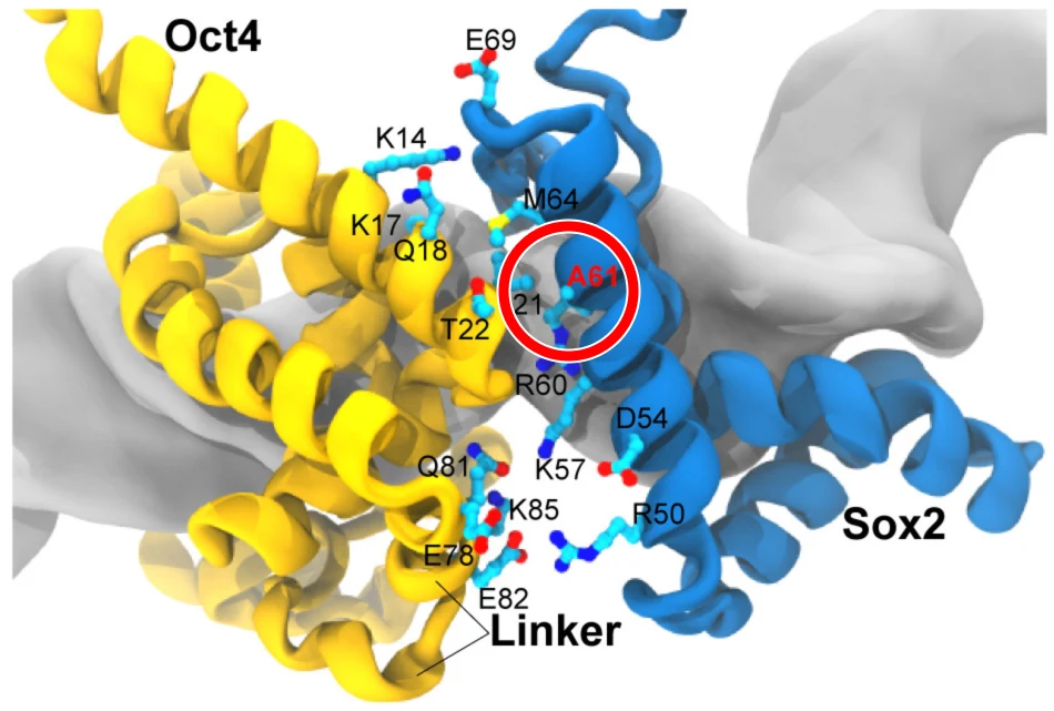 Как создать детей-супергениев? - 13