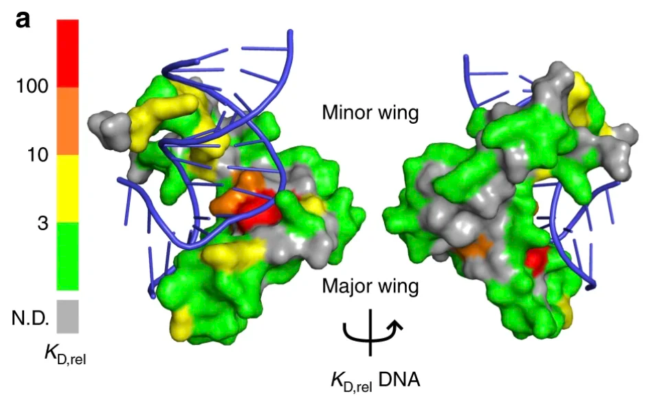 Как создать детей-супергениев? - 20