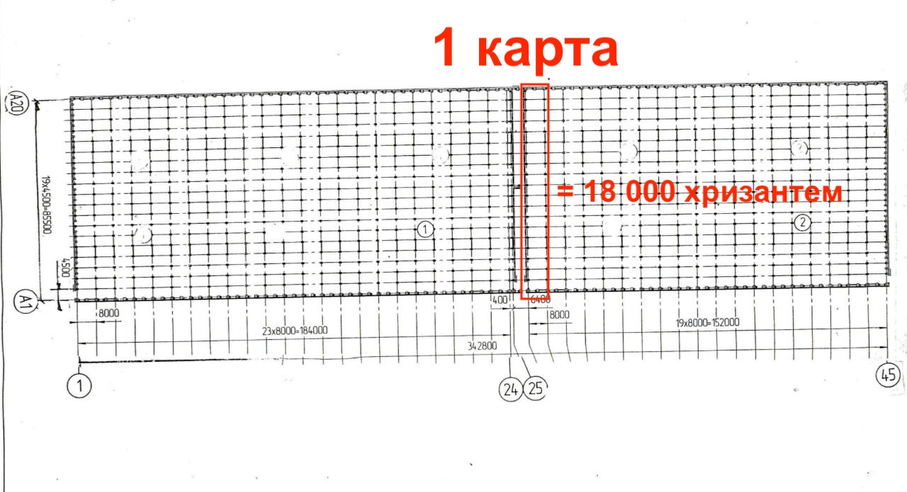Я привез из-за границы, укрывал от солнца, чтобы заработать 11 млн за 100 дней - 15 Я привез из-за границы, укрывал от солнца, чтобы заработать 11 млн за 100 дней - 15