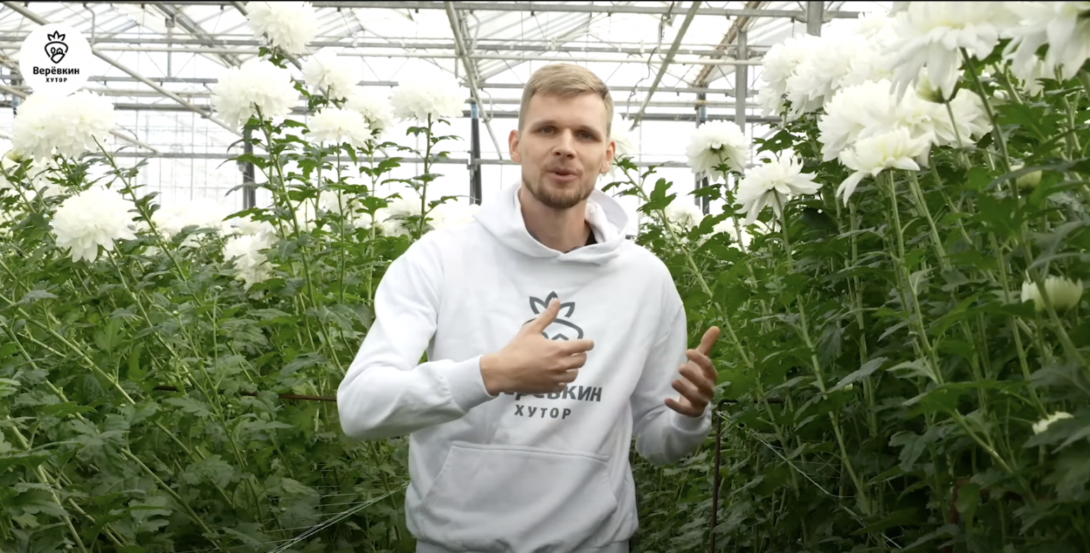 Хризантема вырастает огромная — я сам метр 86, а она вымахивает по 2 метра. 