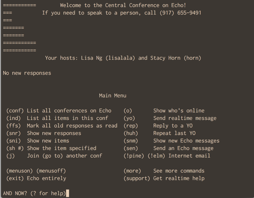 Примерно так выглядел интерфейс WELL на PicoSpan