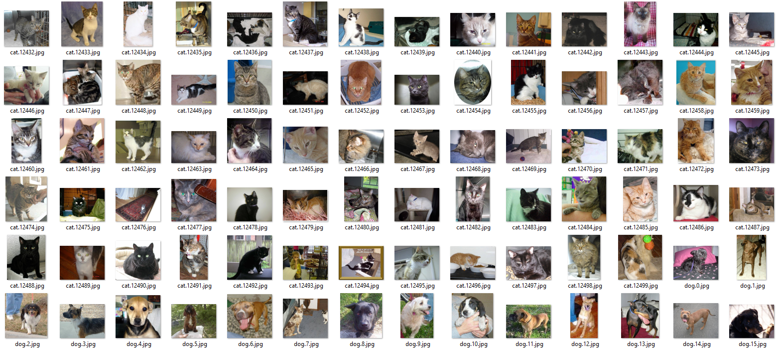 Картинки котов и собак, из которых можно слепить батчи 