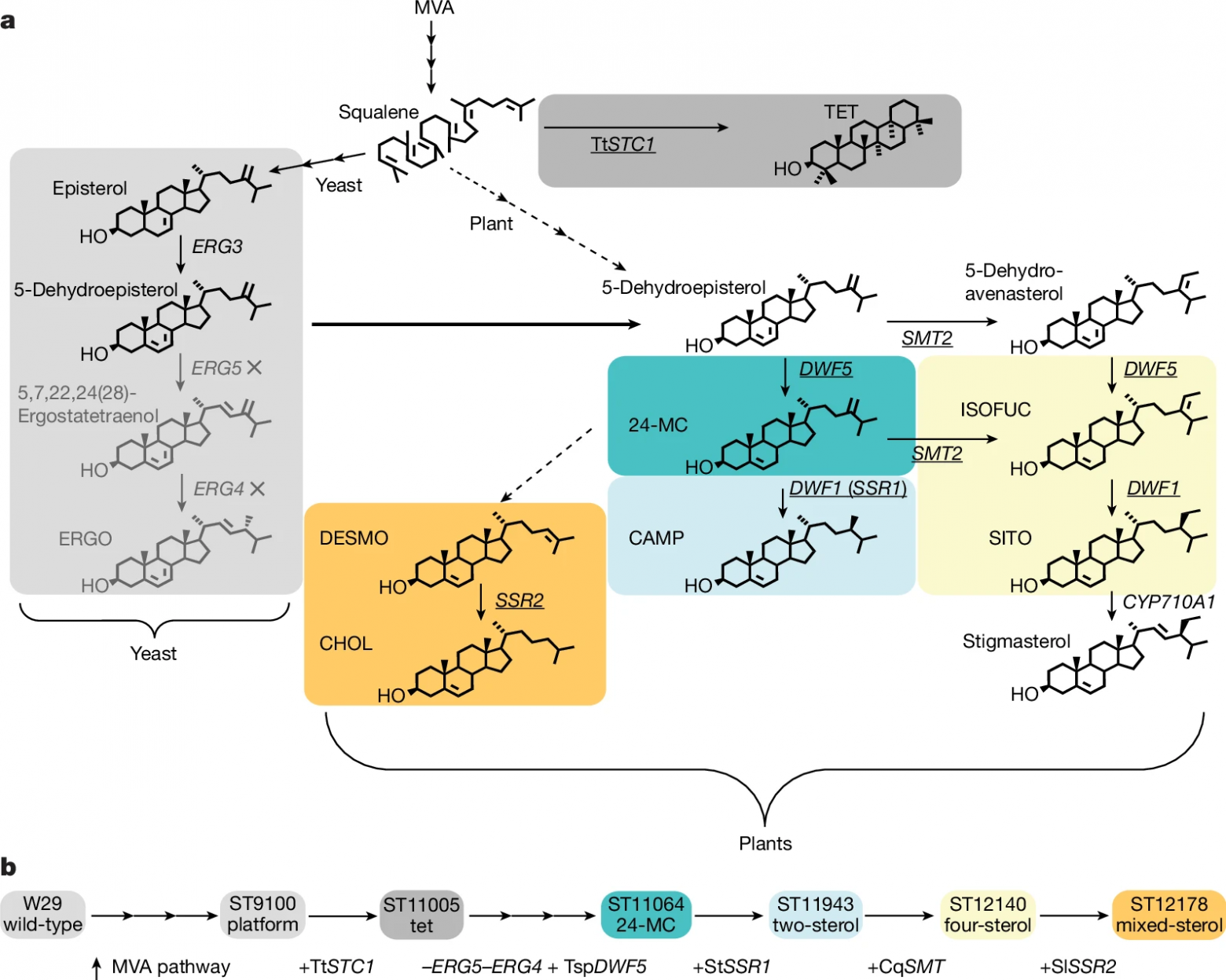 Спасительный рацион: пищевая добавка для пчел - 3