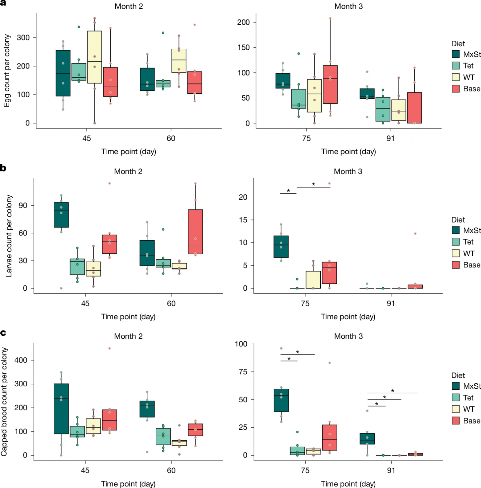Спасительный рацион: пищевая добавка для пчел - 5