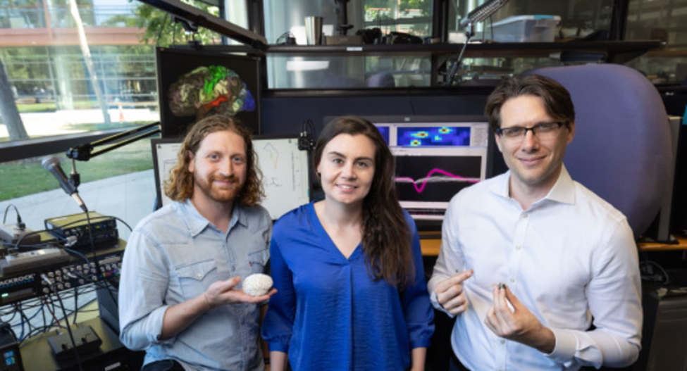 Авторы исследования. Источник